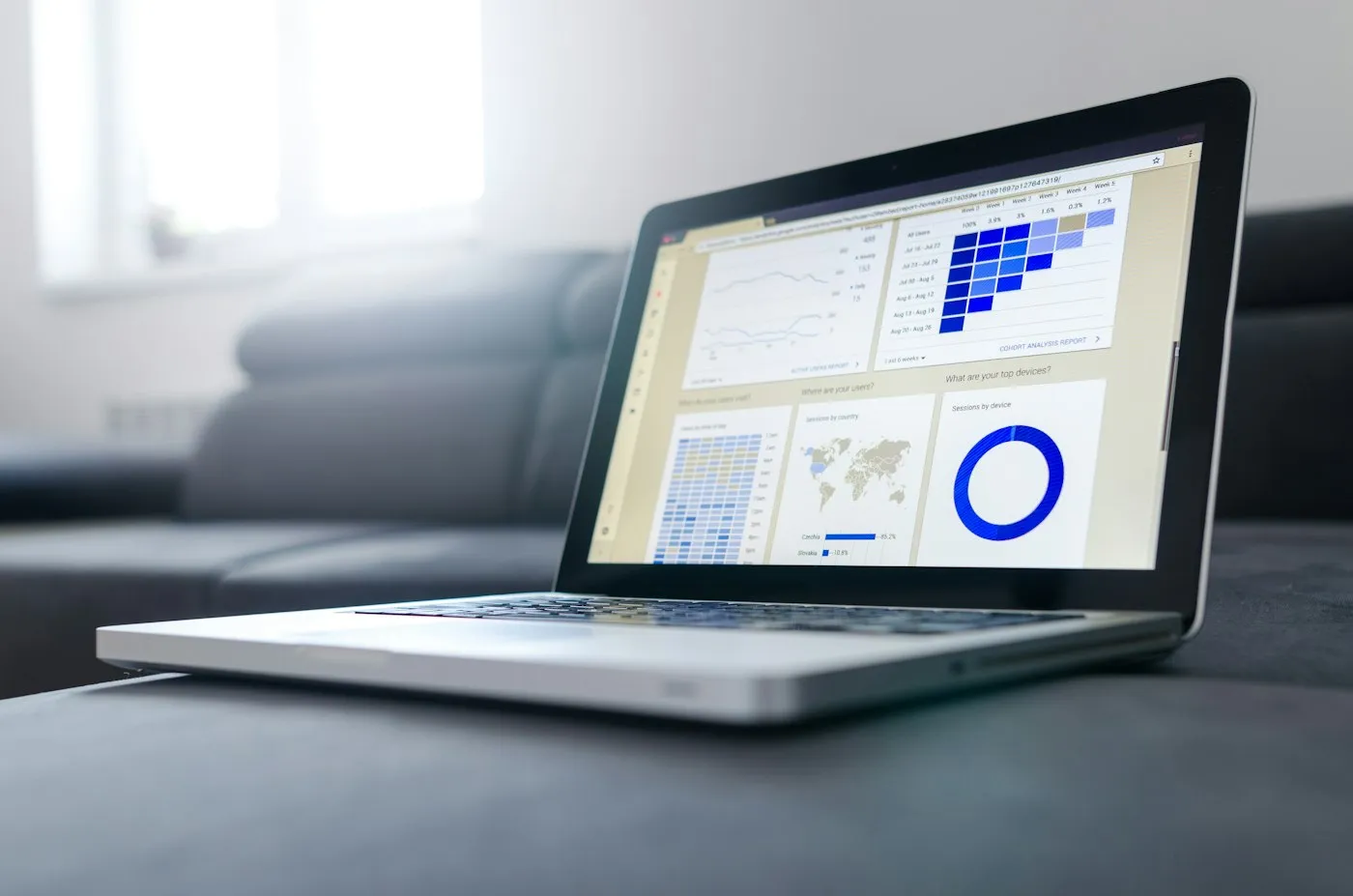Software Development Services